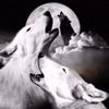 sara_blakely
